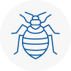 Bed Bug Extermination In Crawley